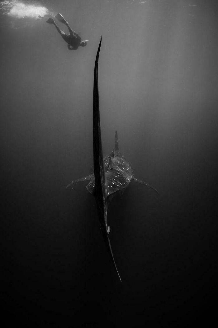 The Fear Of The Unknown, How Real Is What You Imagine?