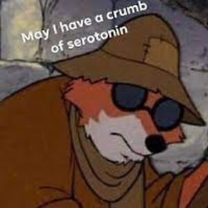 kendallmilashoski avatar