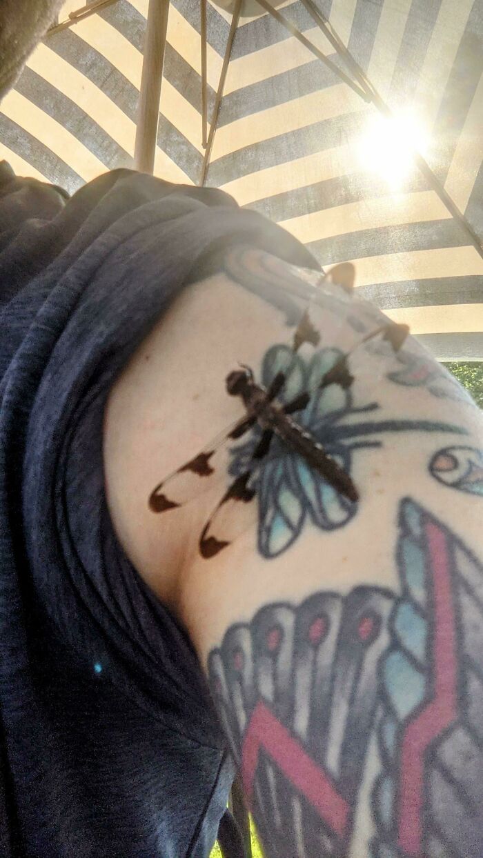 Tattoo perfectly matches the real dragonfly on a person's arm under a striped umbrella.