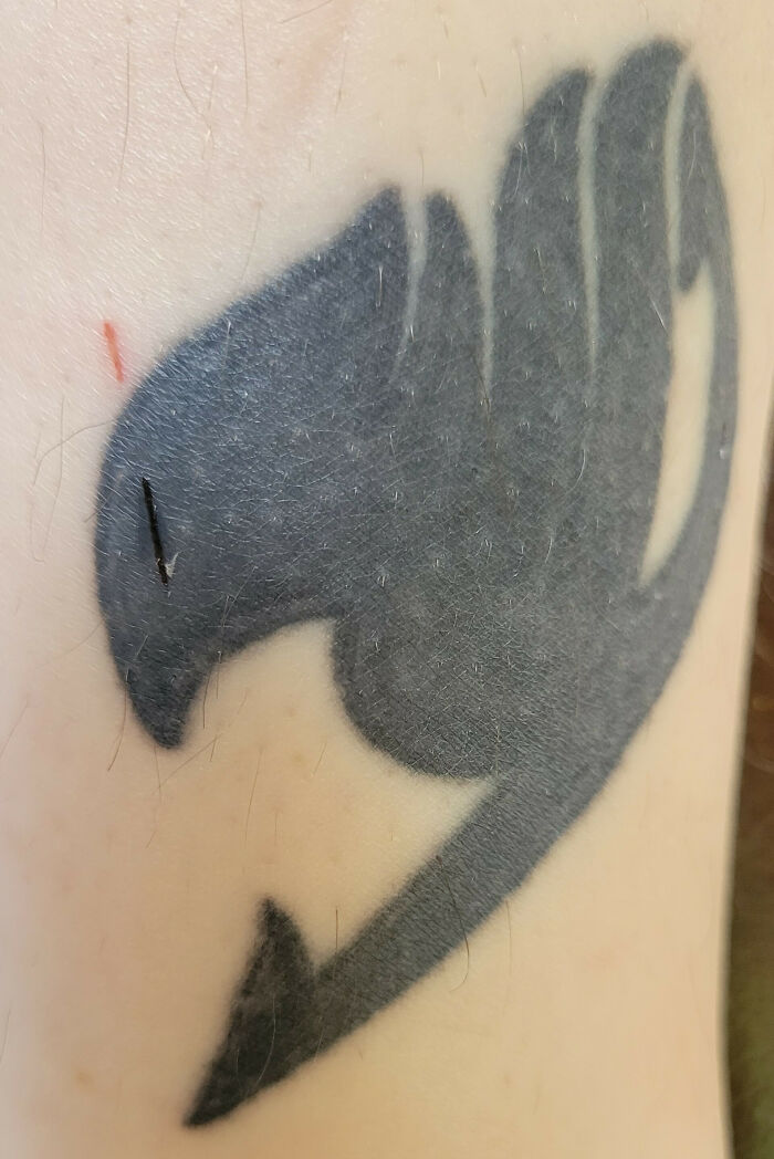 This Fresh Cut On My Old Tattoo