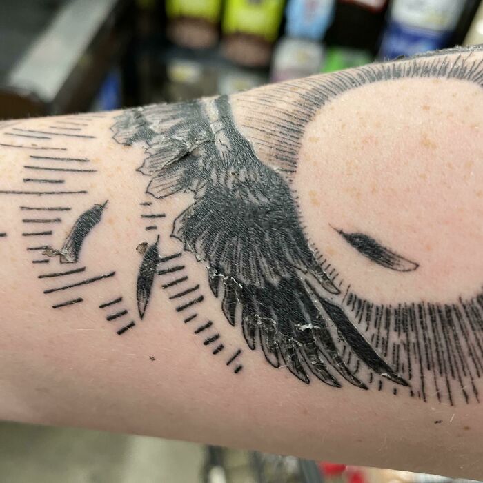 Got A Tattoo Of Icarus And, Appropriately, The Wings Are Shedding