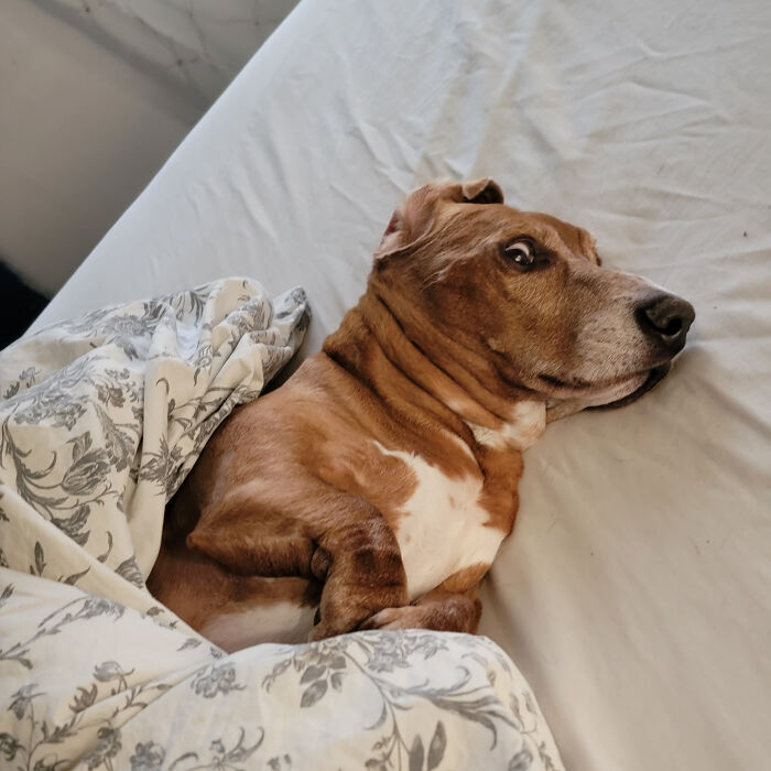 This Look Eveytime I Get Up In The Morning