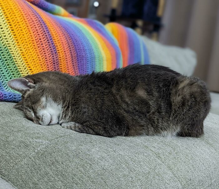 Miss Kevan Has Succumbed To The Cruelty That Is Gravity