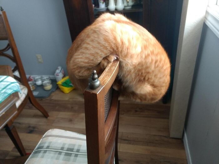 That Looks Uncomfortable