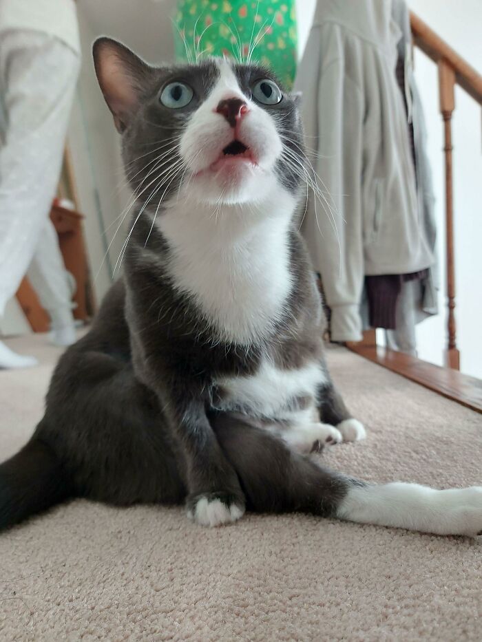 *Reconnecting To Server*