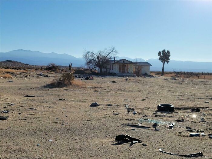 Can't Really Blame Them. I Wouldn't Get Any Closer, Either