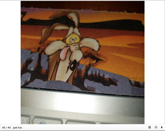 This Is Legit The Unedited Photo On Mls...the Sellers Mousepad...!?!?!?!