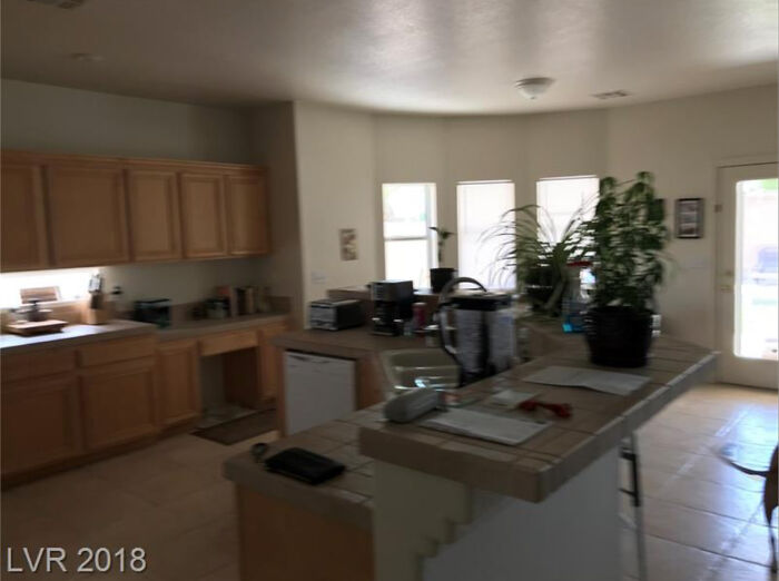 Time Is Money...gotta Get To The Next Shot Asap. Oh, And The Dog