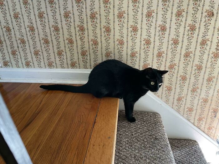 Is She Standing Or Sitting?