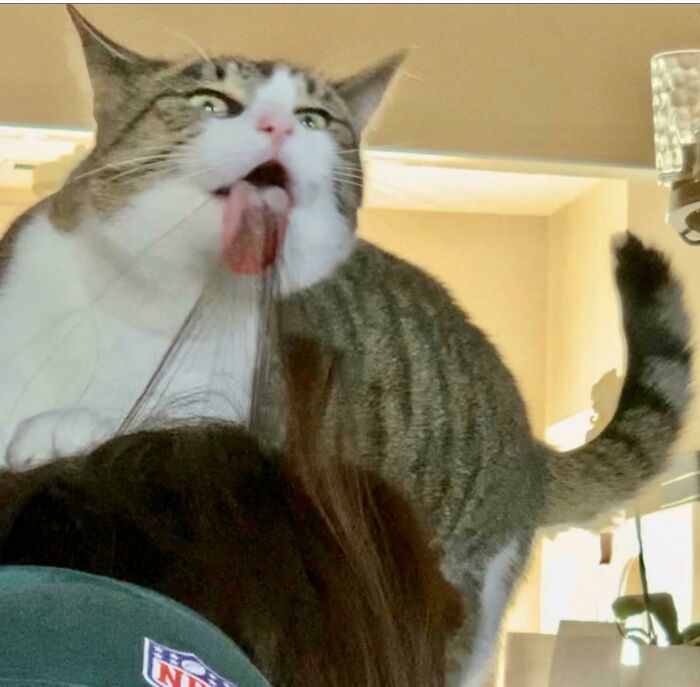 Hazel Displaying How Obsessed She Is With My Sister’s Hair