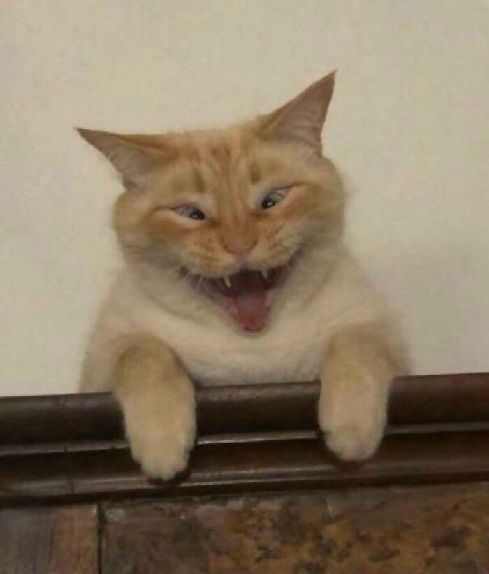 My Sister Sent Me This Picture. I Don’t Know What To Think