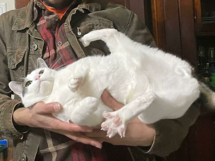 He Asks To Be Picked Up And Then Does This