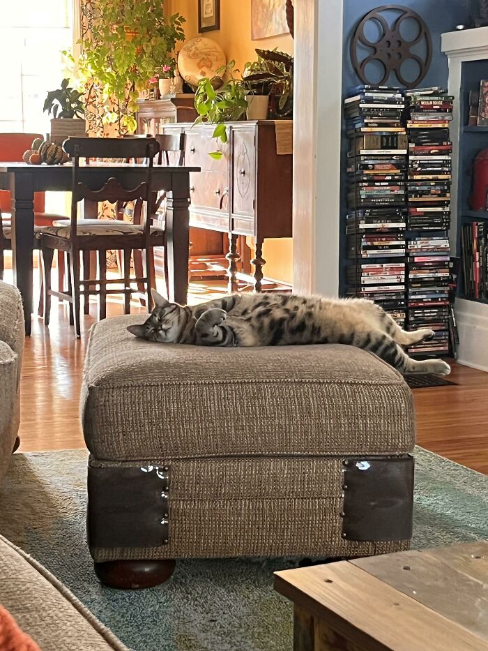 I Mean, That’s One Way To Do It…