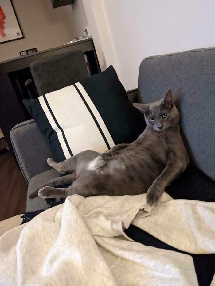 He Embraced Couch Sitting