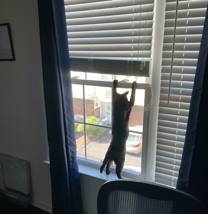 Just Our Boy, Nightmare, Peeping On The Neighbors Again