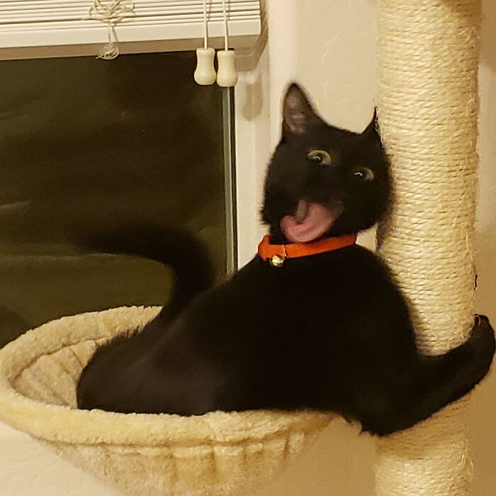 Malfunctioning At 2 Am