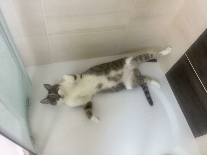 Walked In On Her In The Shower. Probably Should Have Knocked First