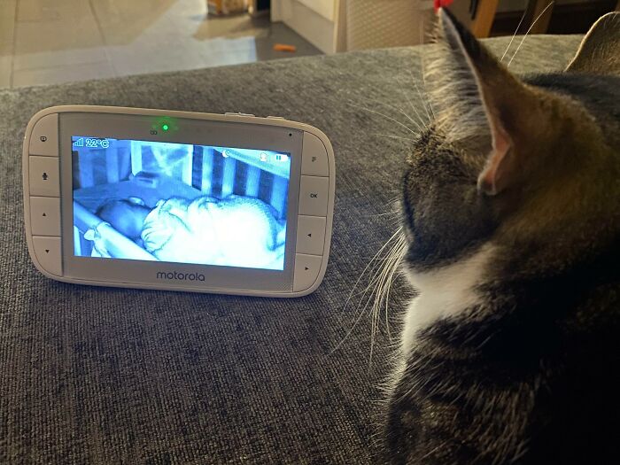 My Little Babysitter