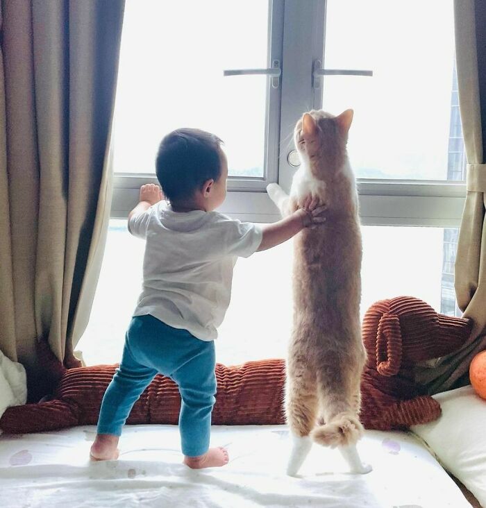 Rain Watching With Didi