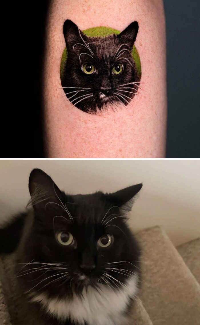 Simple realistic animal tattoo of a black cat with white markings, paired with the cat's photo on a staircase.