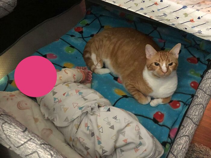 This No-Nonsense Nanny Disapproves Of Any Interruptions To Baby’s Strict Sleep Schedule