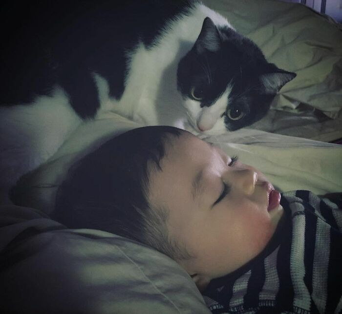 Babysitting While The Little One Is Sleeping