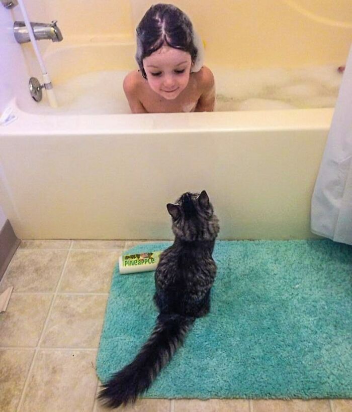 7 Years Ago. I Will Always Treasure This Memory And Picture. Zane Is Now 12 And Lola Is No Longer With Us. She Was The Sweetest Kitty And Zane Was Always Her Boy. I Miss Her