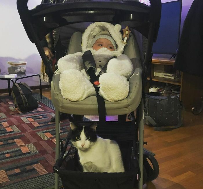 Don’t Worry Ludo, I’m With You