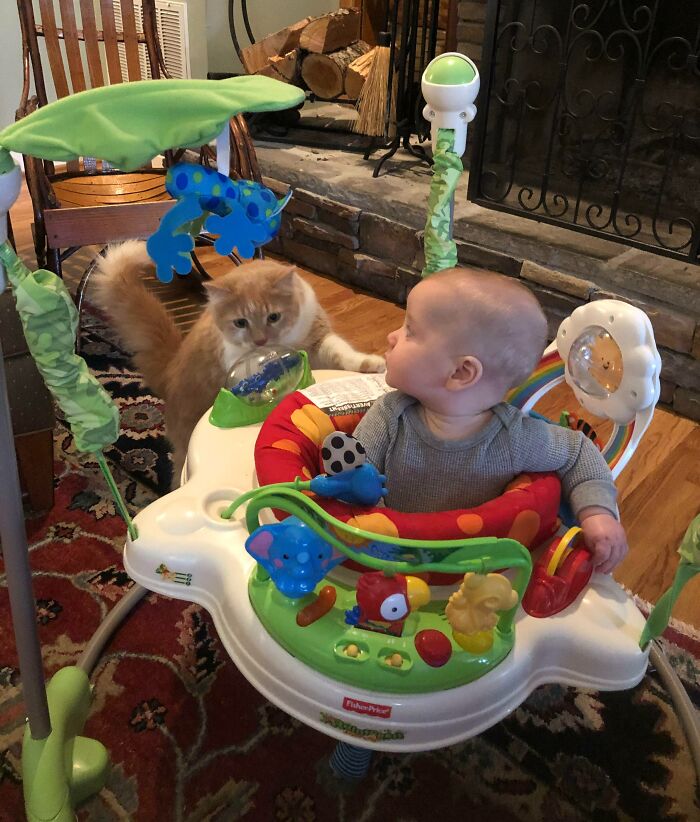 Professional Babysitter Over Here