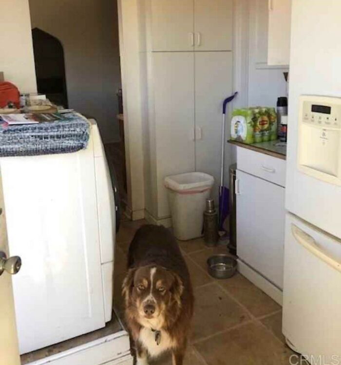 I Don’t Think He Trusts The Realtor