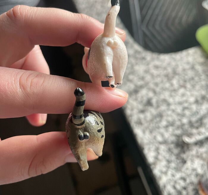 Had A Cat Themed Birthday Party For My Kid. Noticed This On The Party Favor