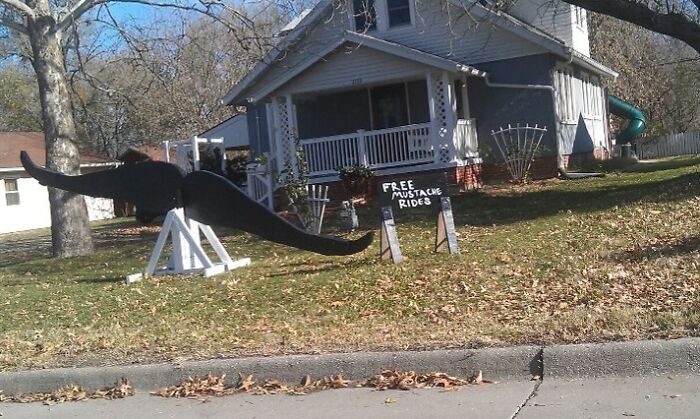 Someone Is Celebrating Movember In My Hometown