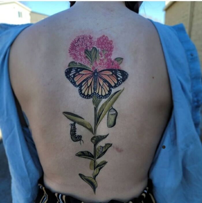 Back tattoo featuring elegant and beautiful flowers with a butterfly and caterpillar.