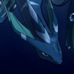 dualsidehedgehog avatar