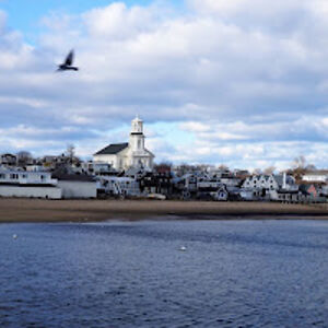 cherylneville avatar