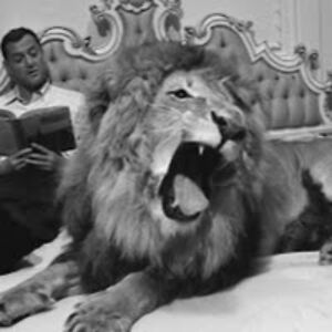 karlschwinbarger avatar