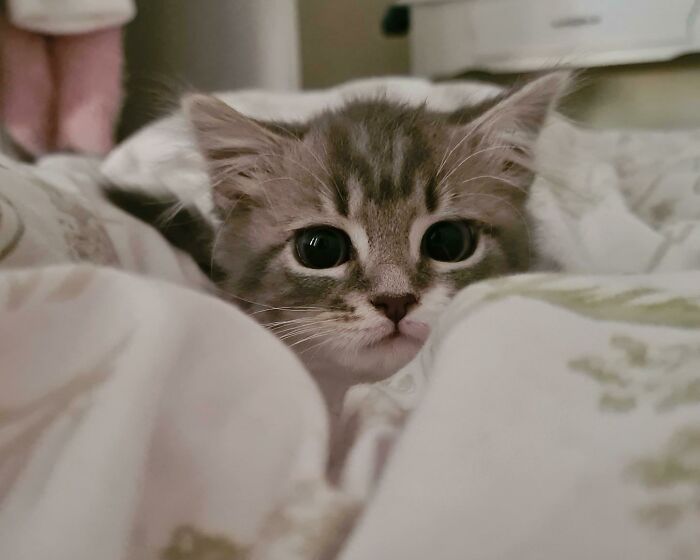 Lily Has The Purest Eyes!