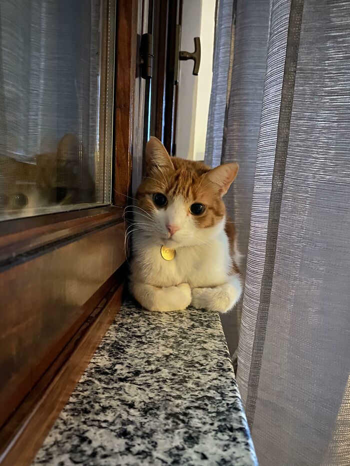 He Outgrew His Favourite Spot