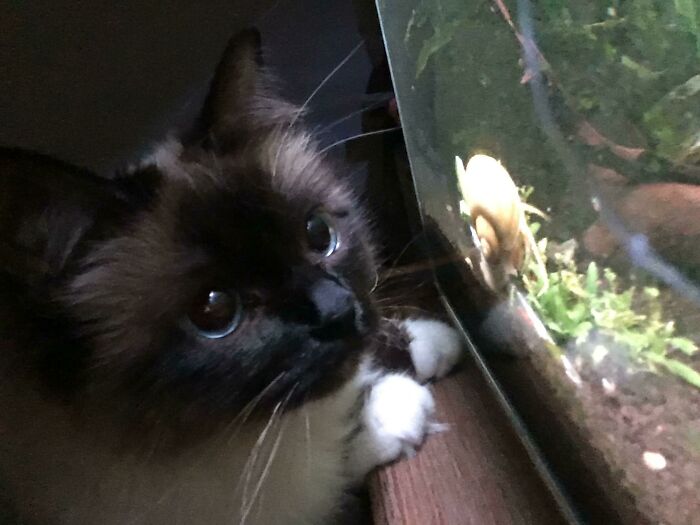 This Is Maki And She Likes Snail Watching