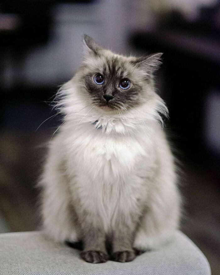 There Once Was A Princess