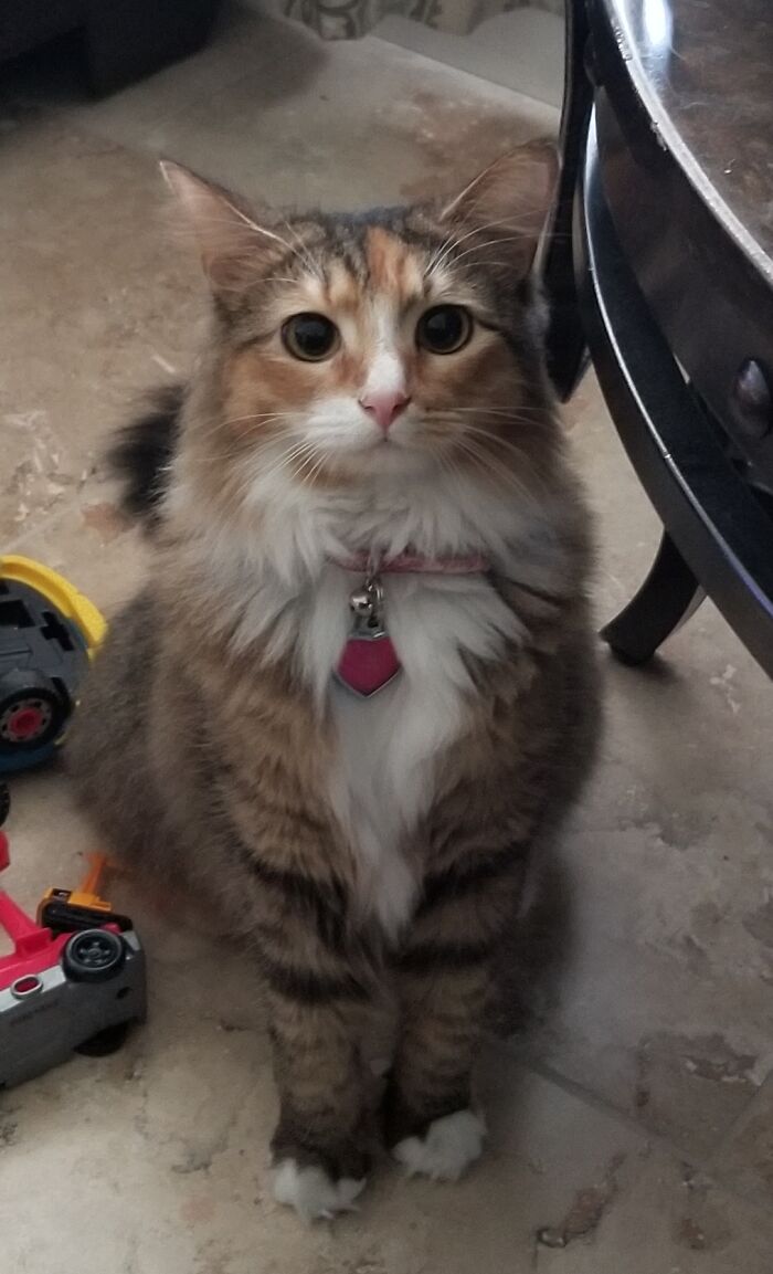 I Love This Look She Gets