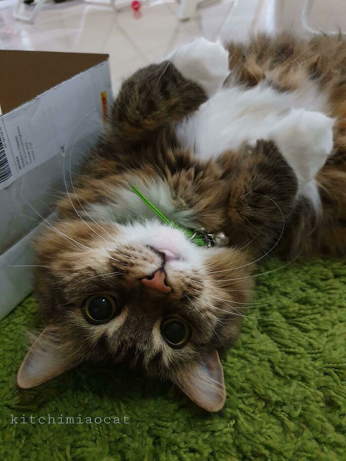 This Is The "I Want Whatever You're Eating" Pose