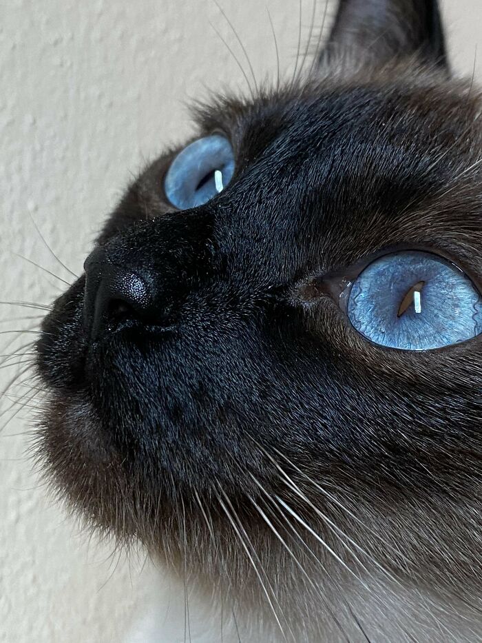 Someone Suggested Z’s Ocean Eyes Belong Here 🌊