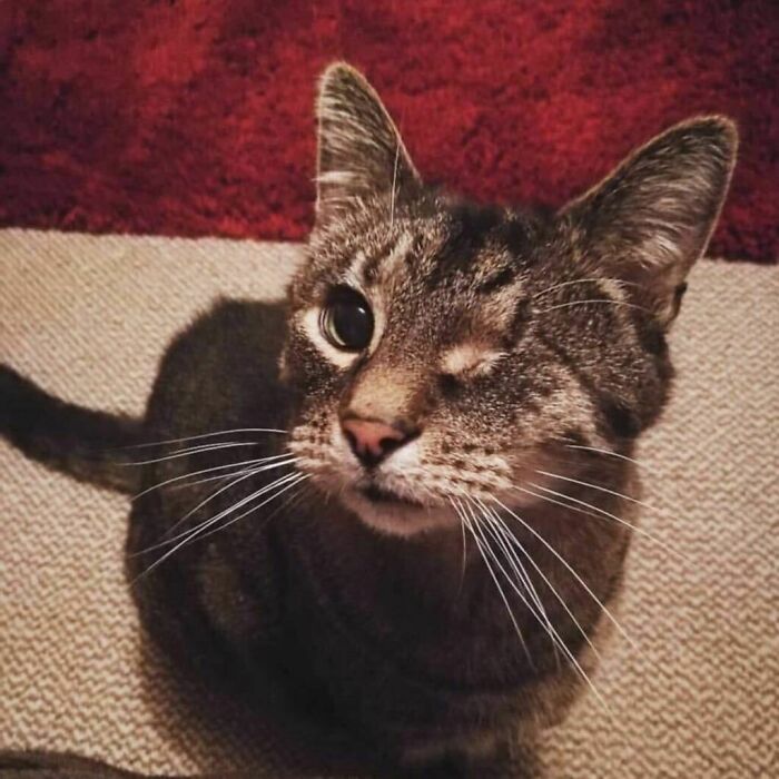 He Only Has The One Disney Eye, Still Counts Right?