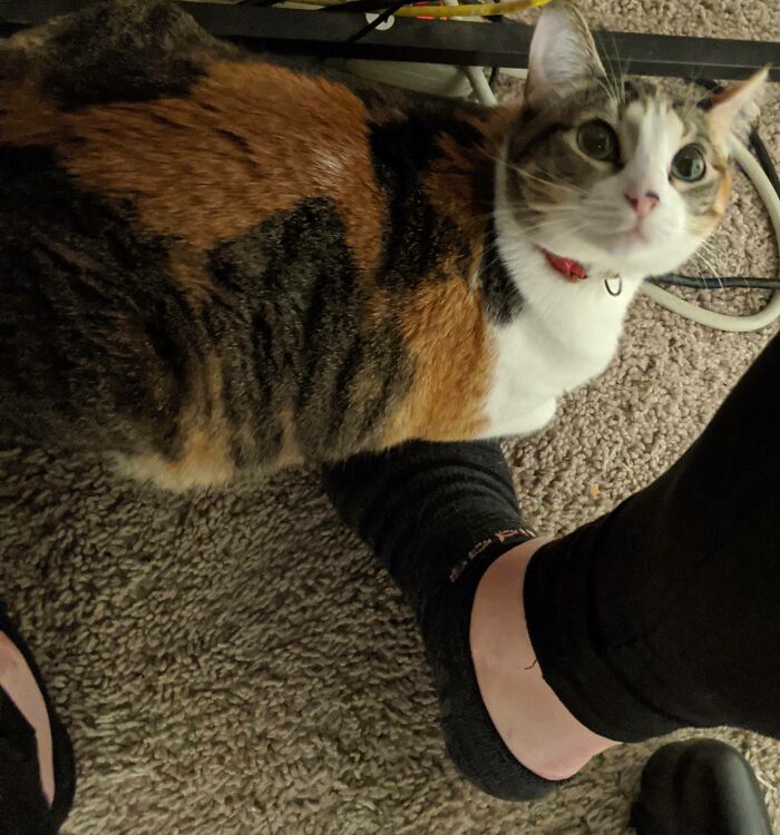 My Girl Is So Happy I Stopped Working Overtime