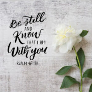 kalaivanimuniandy avatar