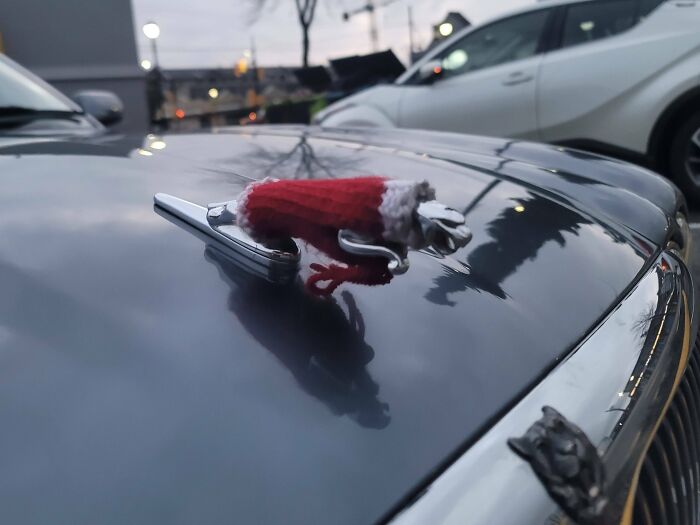Someone Knitted A Sweater For Their Car's Emblem