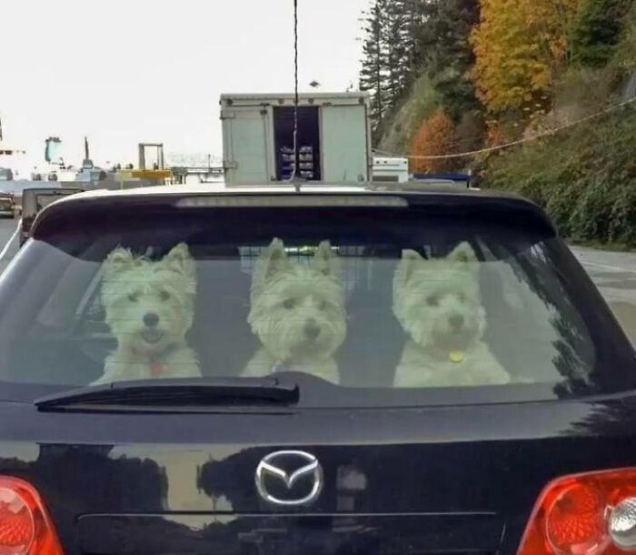 Sorry I’m Late For Work… I Followed This Car For 3 Hours