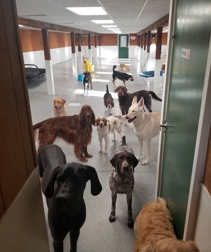 Insanely Jealous Of My Wife's New Working Conditions