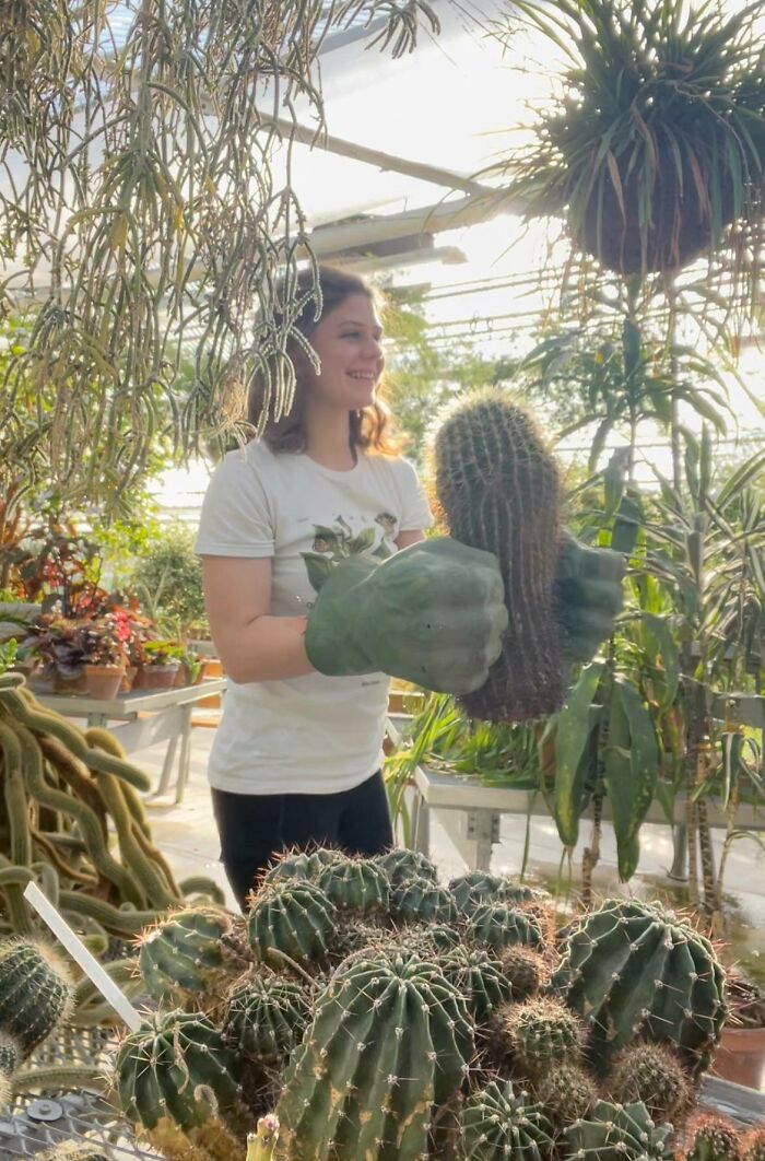 We Use Hulk Hands To Move Cacti At My Work